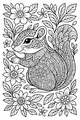 Chipmunk in a Wildflower Garden