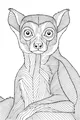 Lemur With Big Surprise Eyes