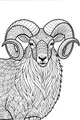 Ram With Spiraling Horns in the Meadow