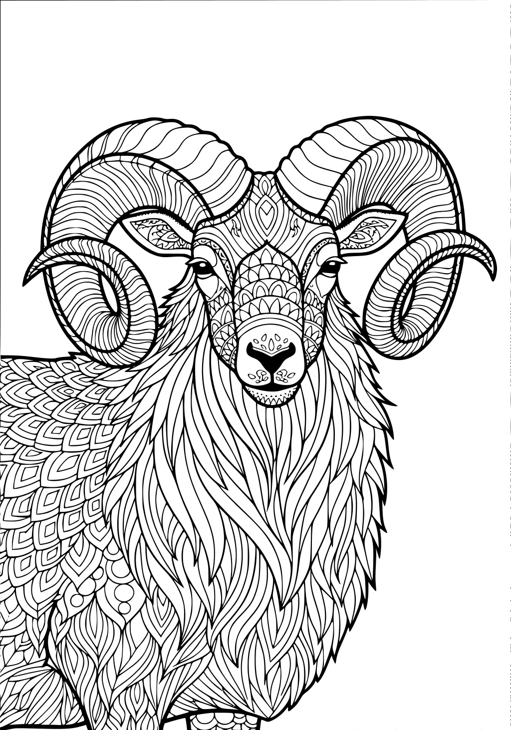 Ram with intricate spiral horns and patterned wool, shown in black and white line art.