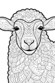 Daisy the Wooly Wonder Sheep