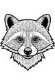 Gentle Eyes of the Clever Raccoon