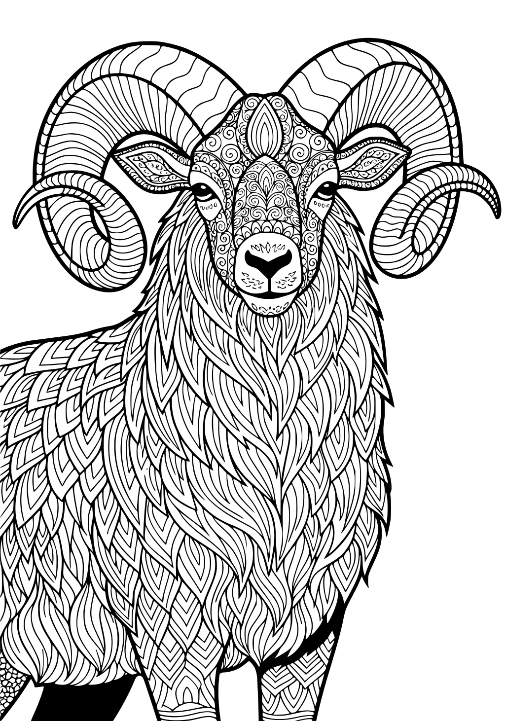 Detailed ram with patterned spiral horns and shaggy, patterned wool in black and white drawing.