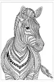 Zelda the Zigzag Zebra