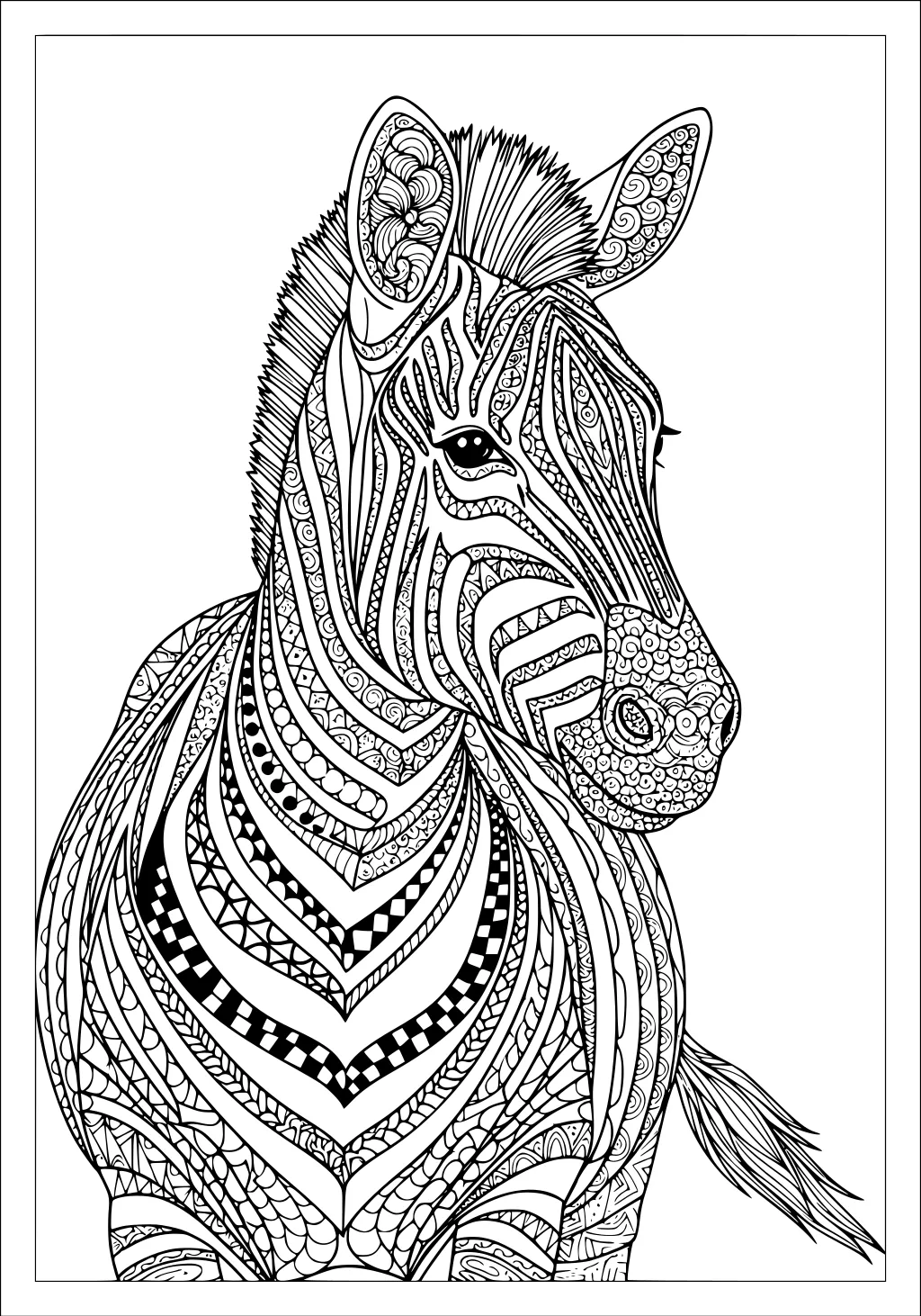 Zebra portrait with intricate patterned stripes, spiky mane, patterned ears, calm eye, and small tail tuft on a plain background.