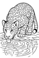 Thirsty Jaguar at the River’s Edge