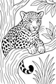 Jaguar Boy Takes a Tree Top Nap