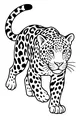 Jaguar Steps Through the Jungle Shadows