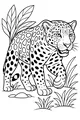 Jaguar Strides Through Jungle Grass