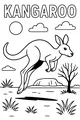 Kangaroo Hop in the Outback Sun
