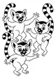 Lemur Friends and Wiggly Striped Tails