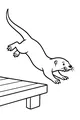 The Otter Takes a Flying Leap