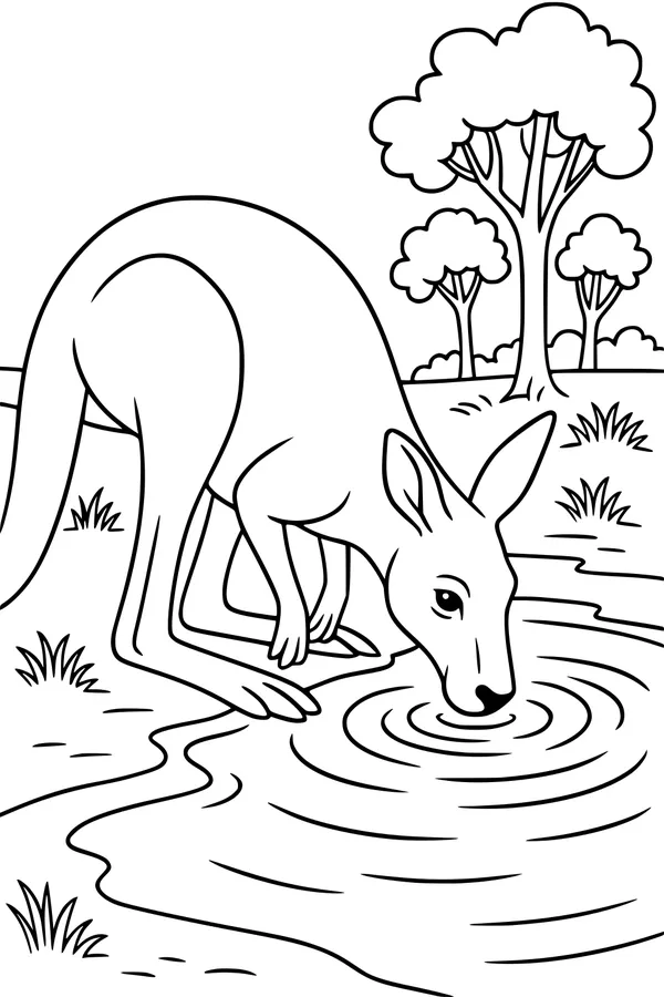 Thirsty Kangaroo At The Shady Pond