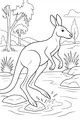 Kangaroo Leaps Across the Creek