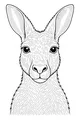 Kangaroo with Wide Wonder Eyes