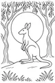 Sunrise Hops with a Kangaroo Friend