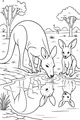 Afternoon at the Shimmering Waterhole