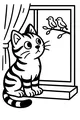 Whiskers Watches the Window Birds