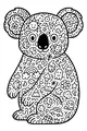 Koala Full of Doodles and Sunshine