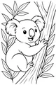 Koala Hugs a Tall Gum Tree