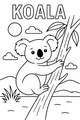 Koala Clings to a Sunny Tree