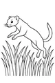 Weasel Jumps Through Tall Green Grass