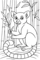 Bamboo Snack With a Ring-Tailed Lemur