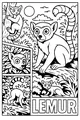 Little Lemur in the Leafy Jungle