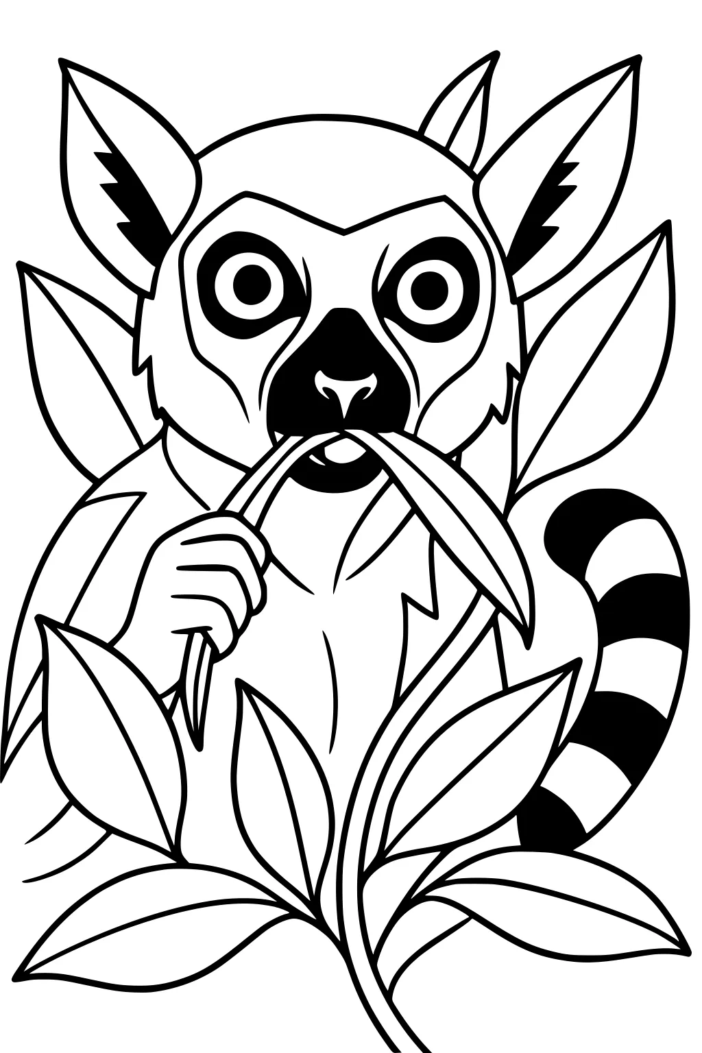 Ring-tailed lemur holding a leaf and eating, surrounded by large leaves and showing its striped tail.
