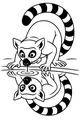 Thirsty Lemur at the Wiggly Pond