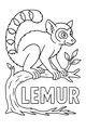 Lemur on the Wiggly Tree Branch
