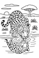 Leopard Drinks at Sunset Stream
