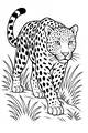 Whiskers and Spots in the Tall Grass