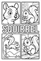 Sammy Squirrel in the Busy Park