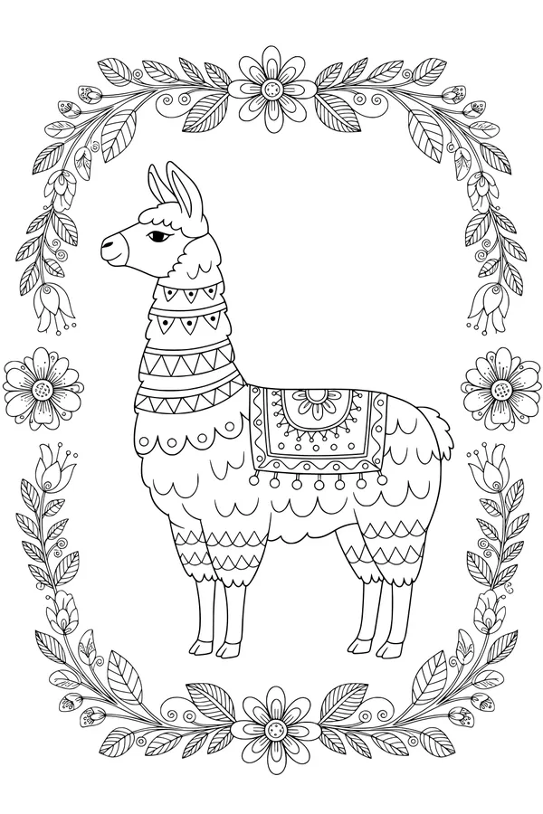 Fancy Llama in a Flower Frame