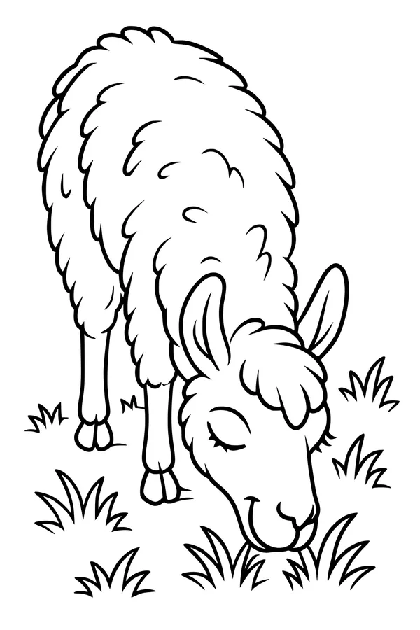 Llama Munches a Green Snack