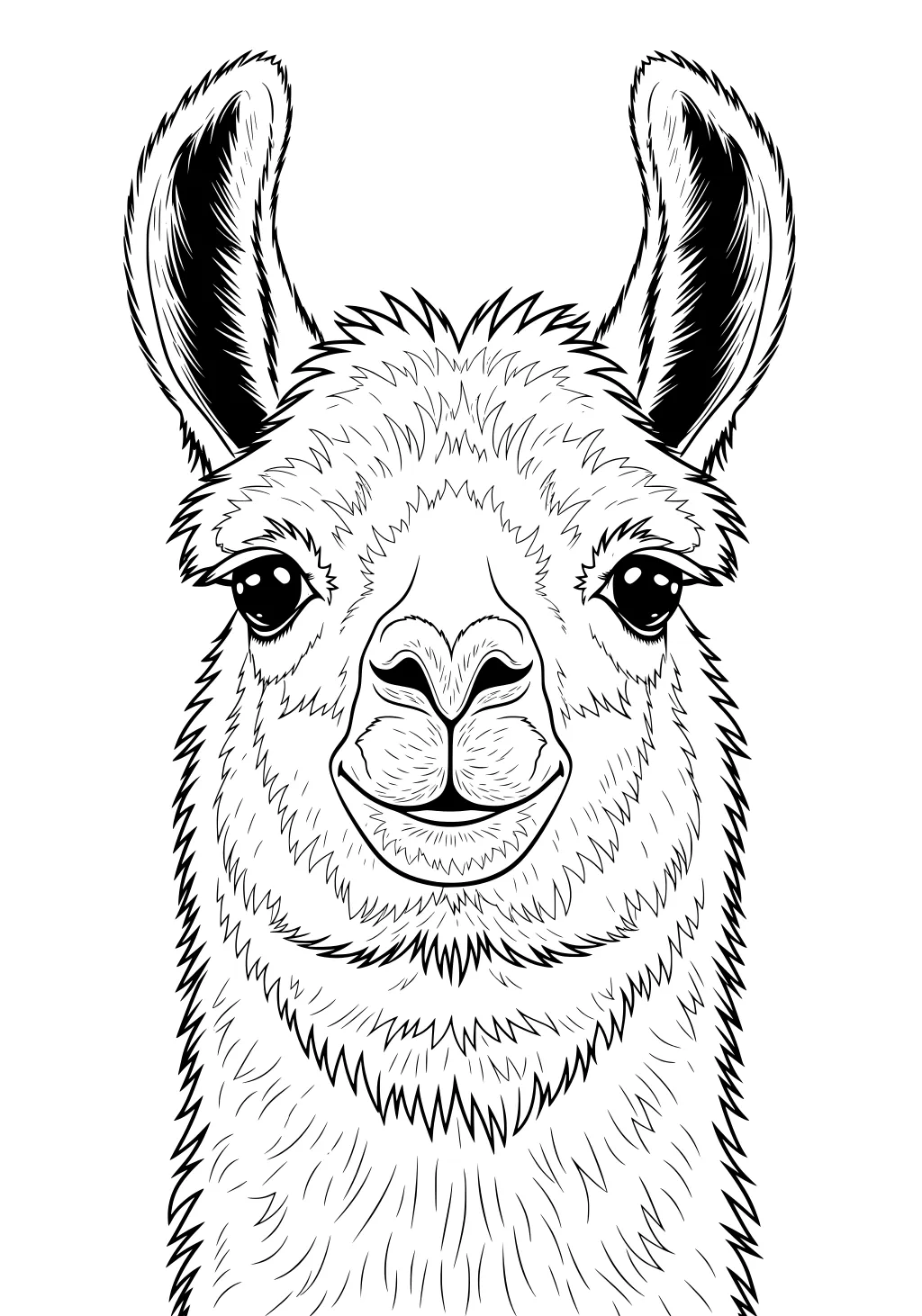 Black and white line drawing of a llama face with big upright ears and shaggy fur filling the page.