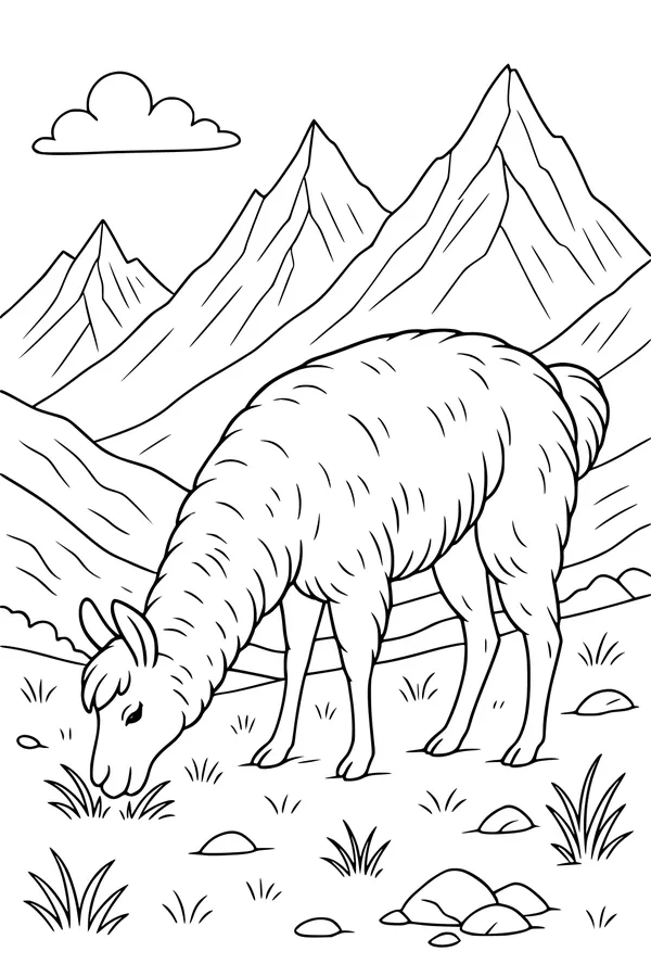 Llama Lunch in the Sunny Mountains