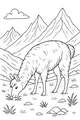 Llama Lunch in the Sunny Mountains