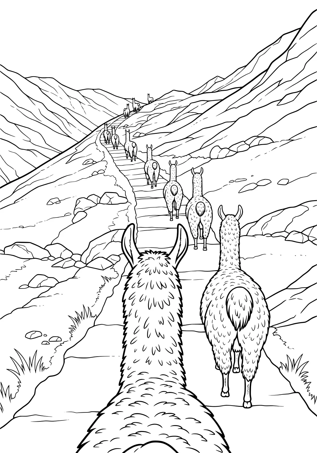 Several llamas walk up a rocky mountain trail, surrounded by hills and stones, some close and some far away.