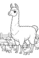 The Llama and the Fluffy Sheep Parade