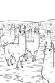 Llamas on the Rocky Mountain Plain