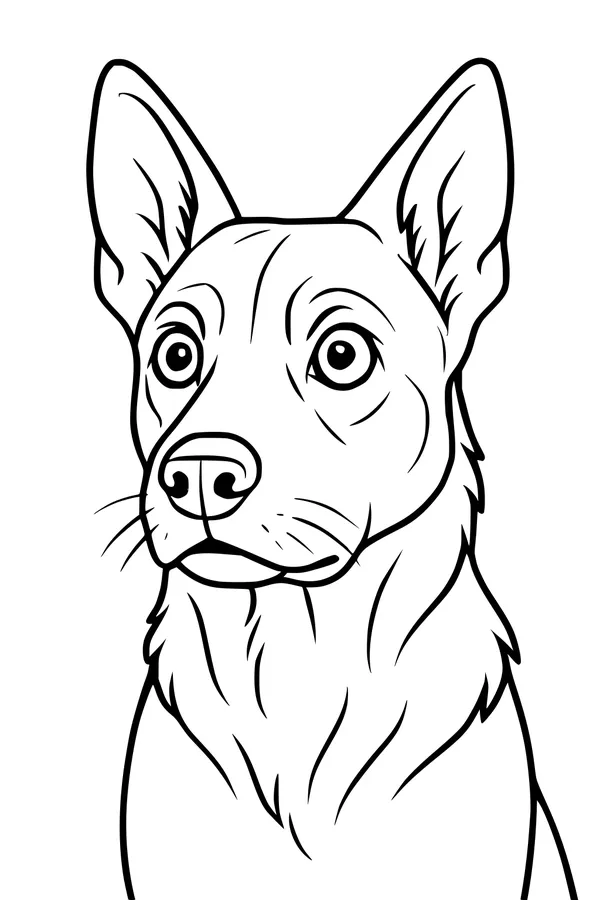 Bright-Eyed Buddy with Big Floppy Ears