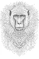 Baboon King and His Jungle Crown