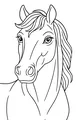 Mane Magic: Gentle Horse with Flowing Hair