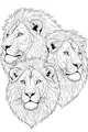 Three Brothers of the Savannah