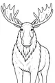 Mighty Moose With Wiggly Antlers