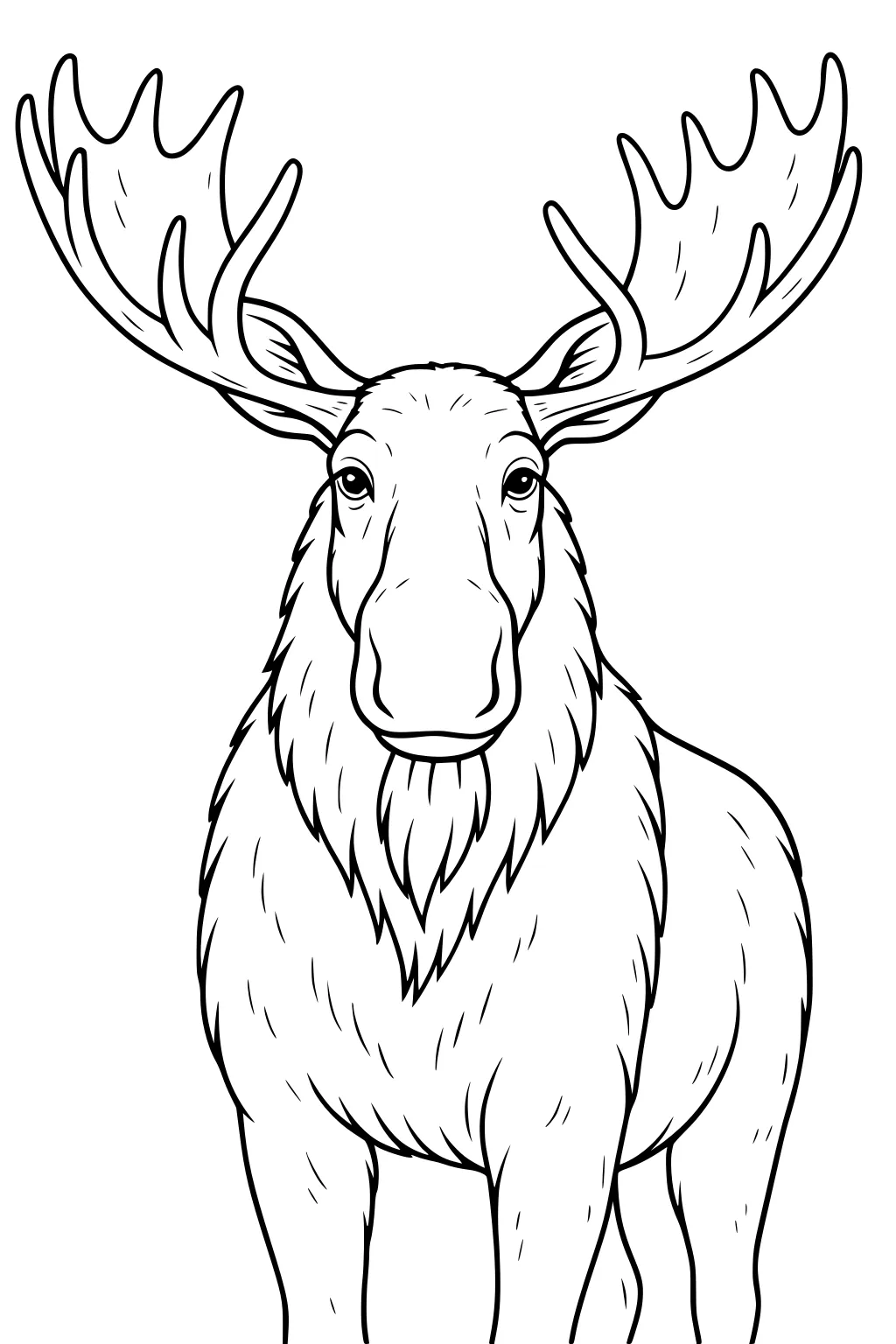 Moose standing and facing forward with large antlers and detailed fur lines