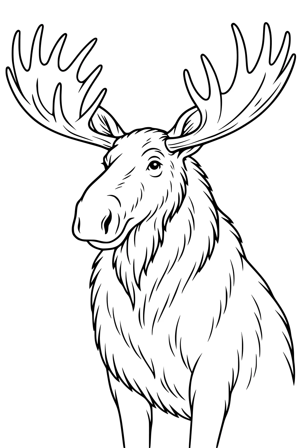 Line drawing of a moose with large antlers and furry neck viewed from the front.