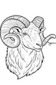 The Ram With Super Curly Horns